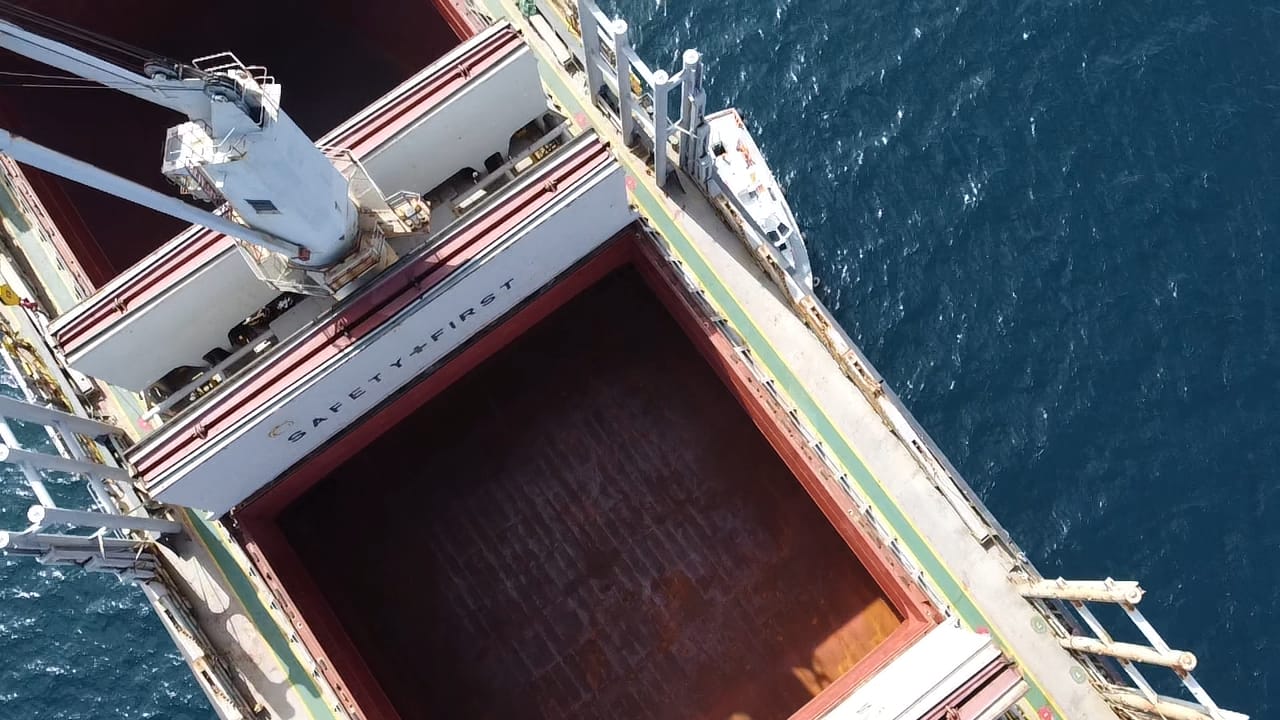 sealogenterreno_011