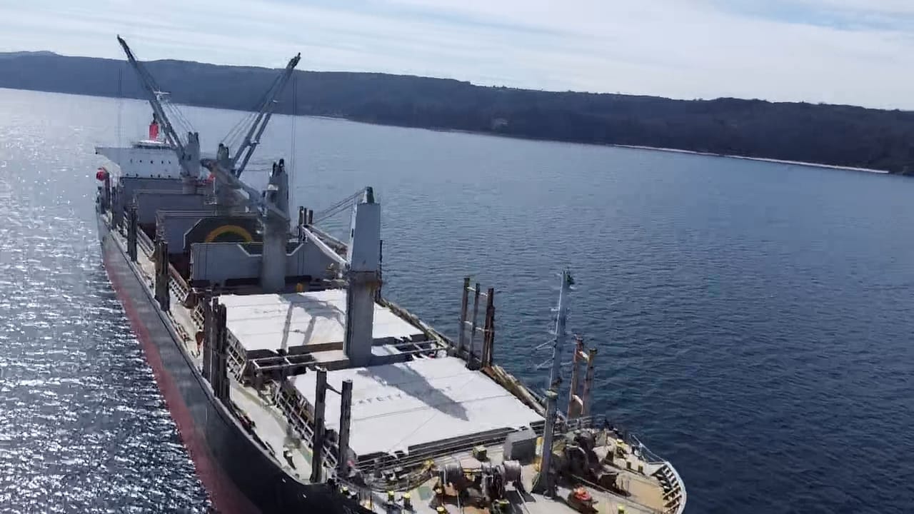 sealogenterreno_013