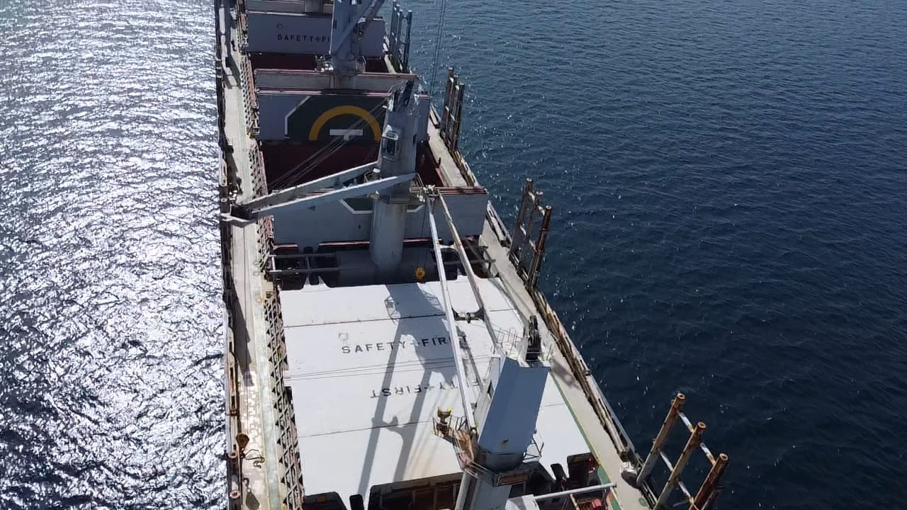 sealogenterreno_014