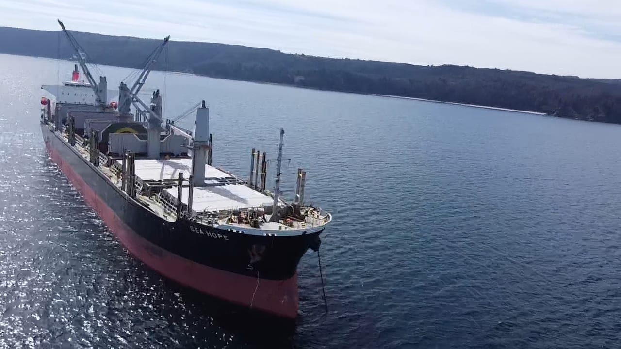 sealogenterreno_015