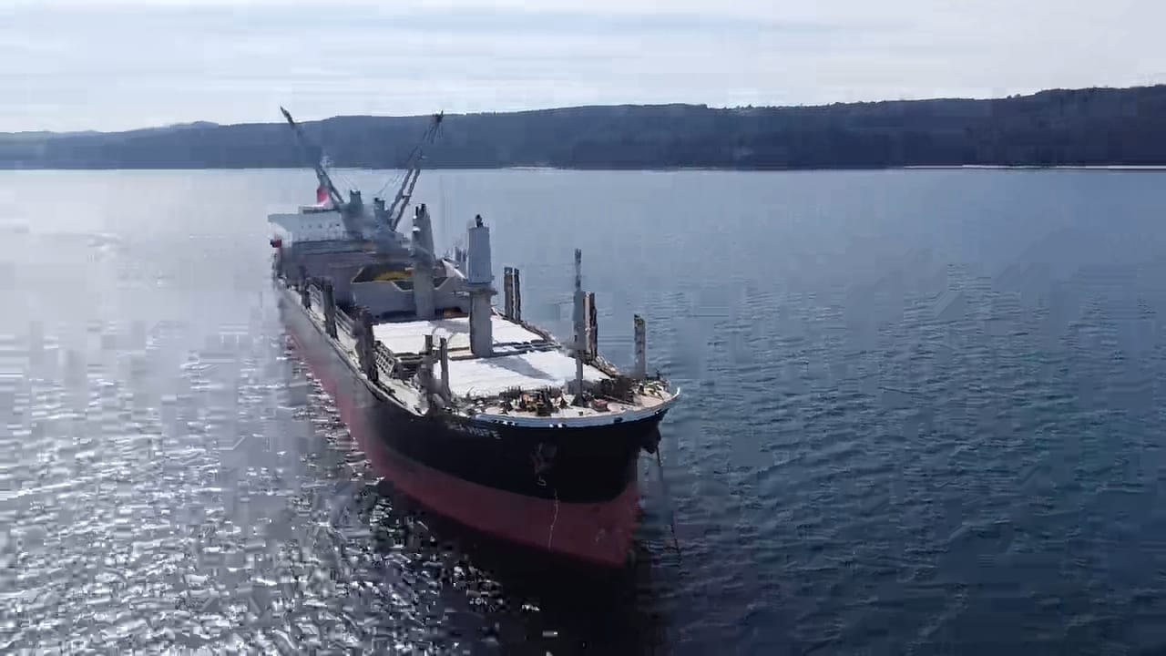 sealogenterreno_017