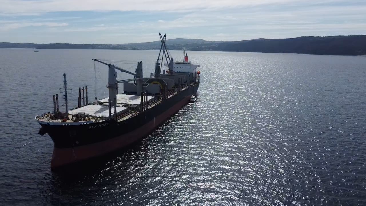 sealogenterreno_018