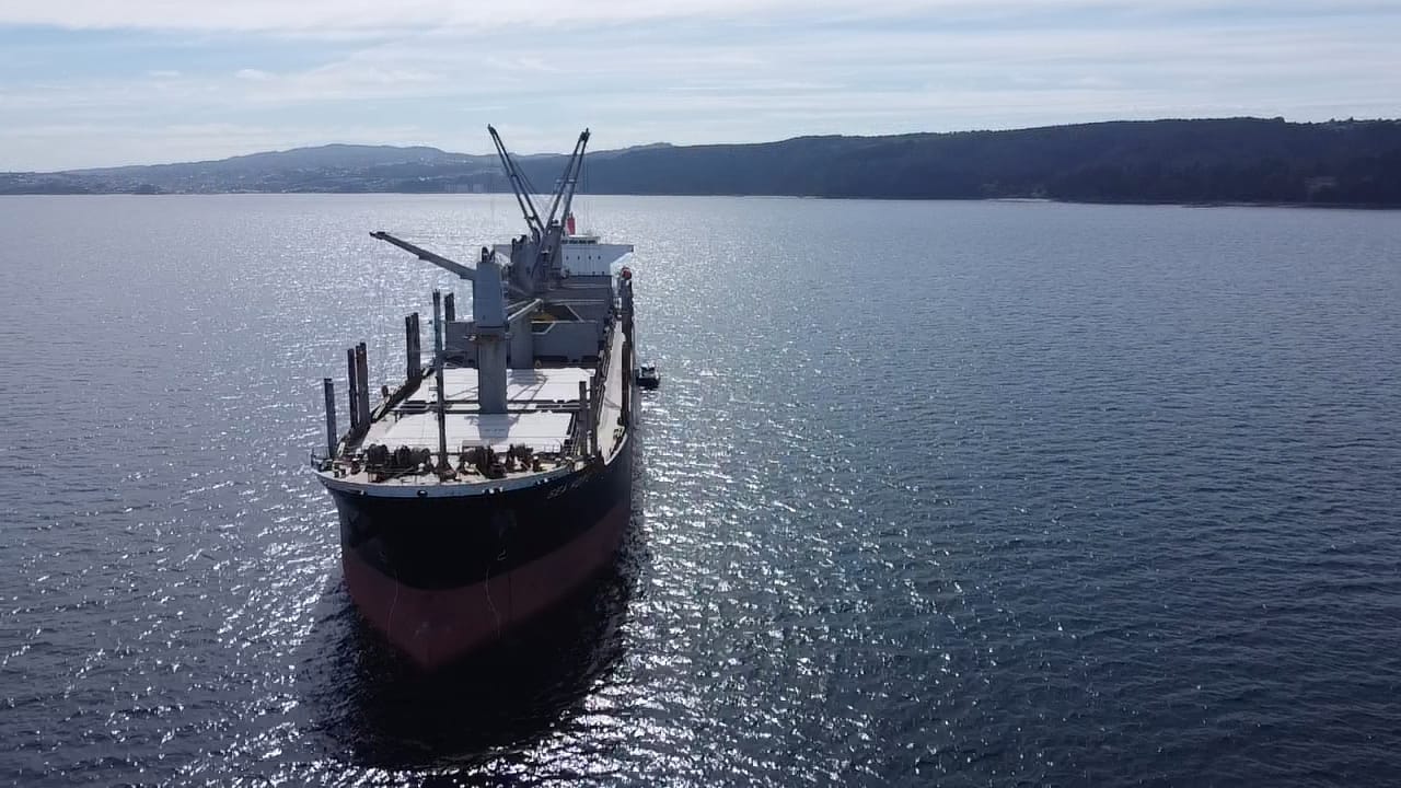sealogenterreno_019