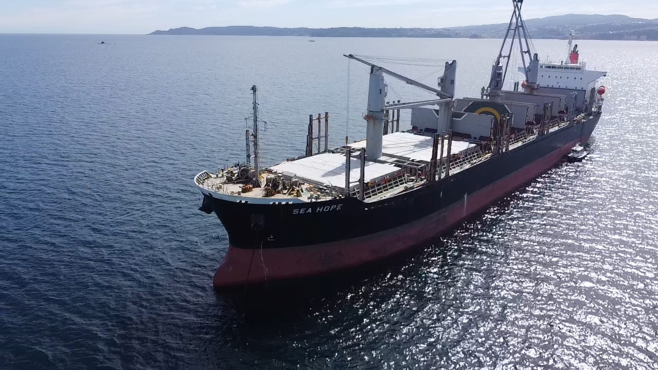 sealogenterreno_020