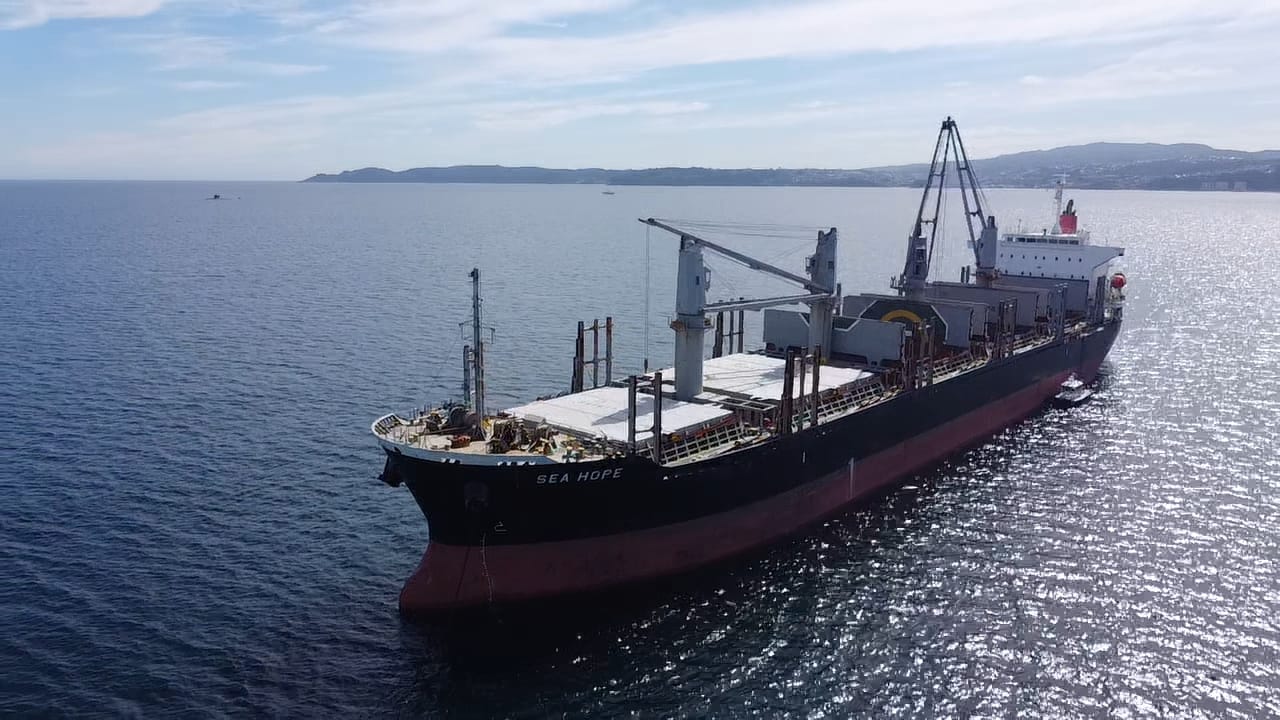 sealogenterreno_021