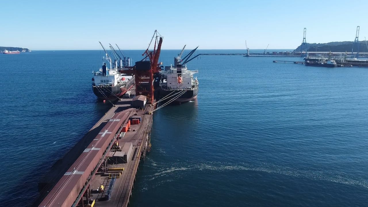sealogenterreno_023