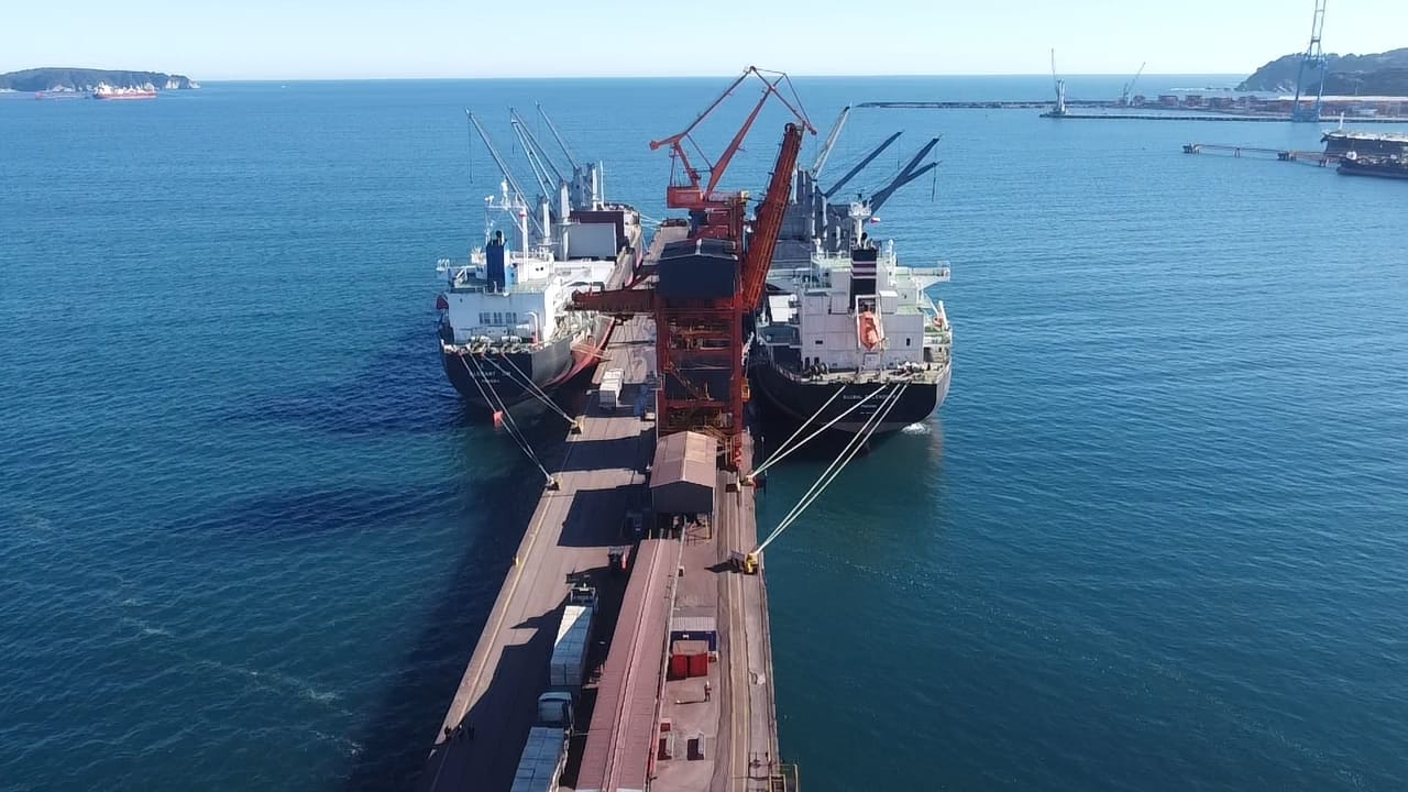sealogenterreno_024
