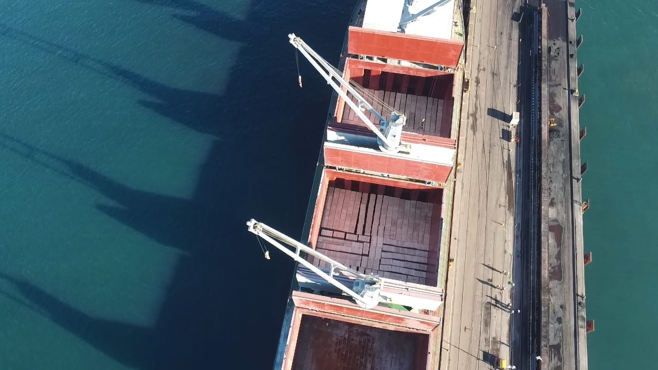 sealogenterreno_025