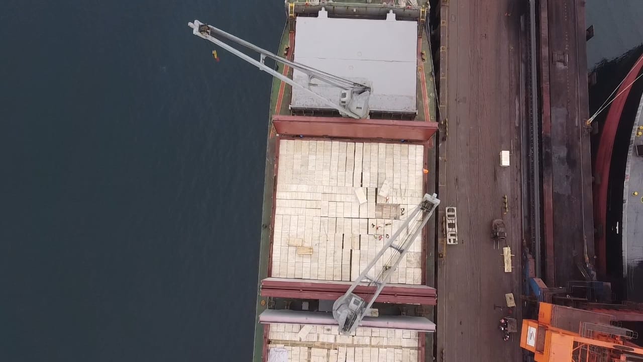 sealogenterreno_029
