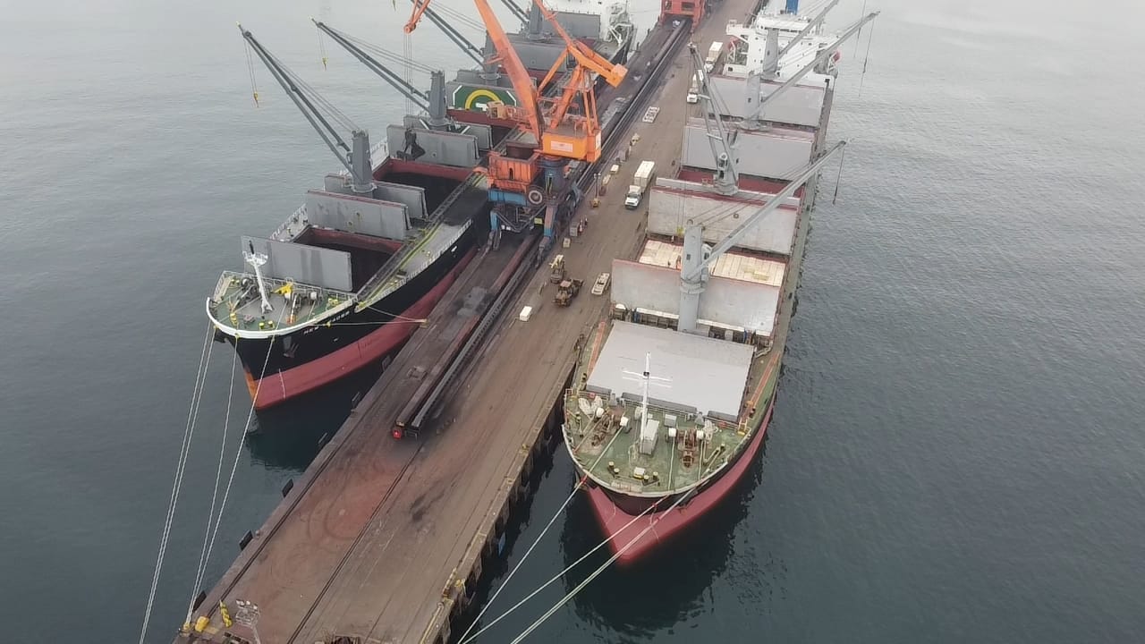 sealogenterreno_030