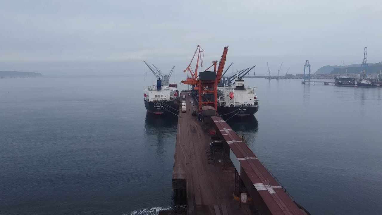 sealogenterreno_031