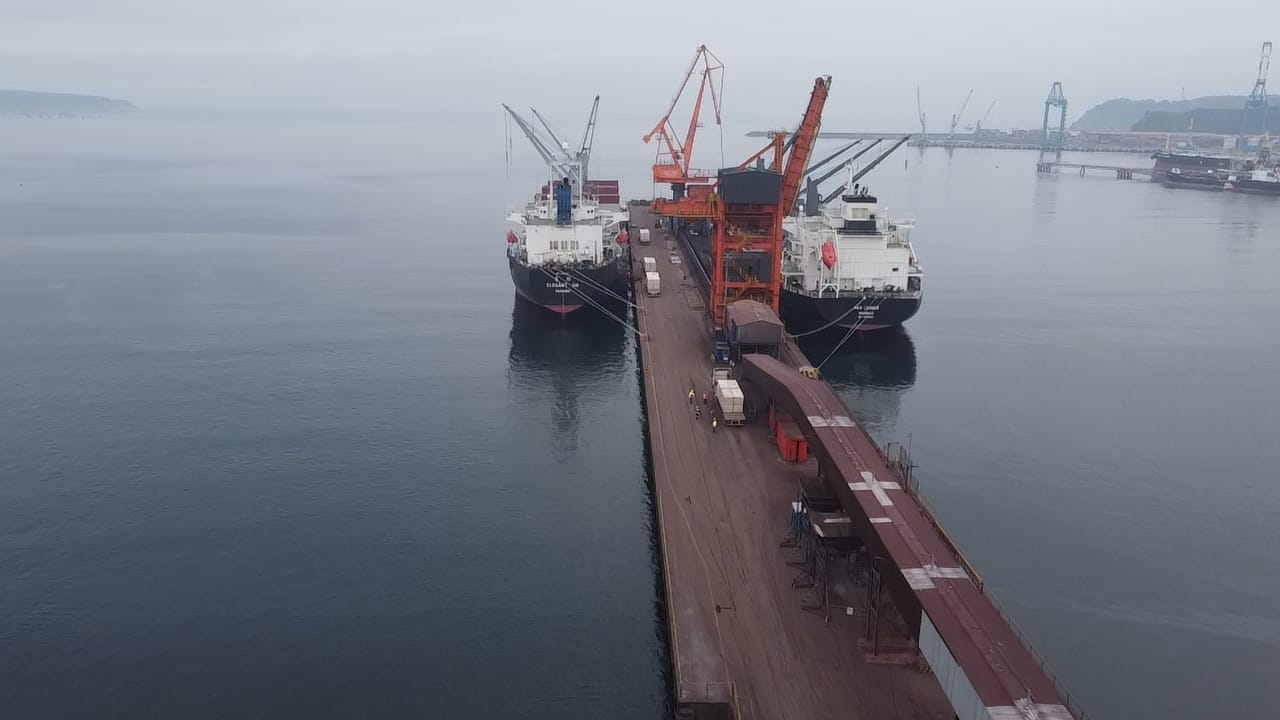sealogenterreno_033