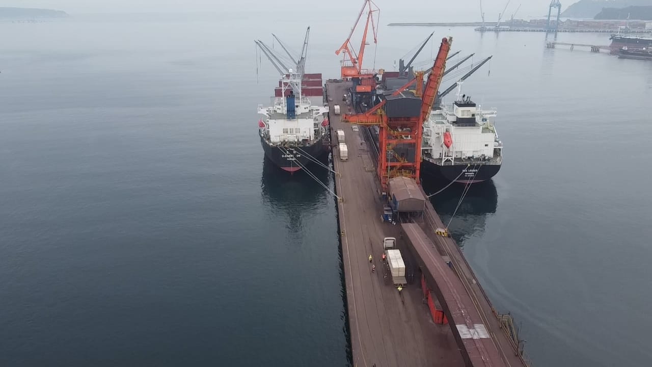 sealogenterreno_036